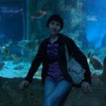 Аватара пользователя