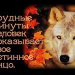 Аватара пользователя