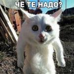 Аватара пользователя