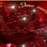 Аватара пользователя