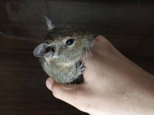 Это он самый.ツ