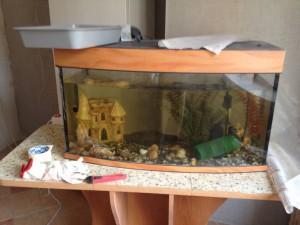 Отдам аквариум - IMG_0548.JPG