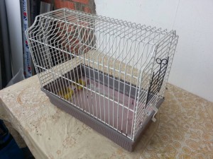 Отдам клетку для грызуна. - 20150421_164355.jpg