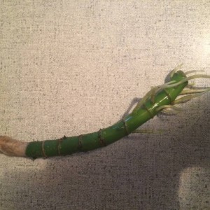 Отдам отростки диффенбахии - image.jpg