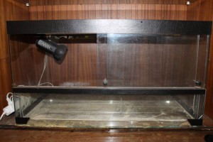 Террариум - IMG_1986.JPG