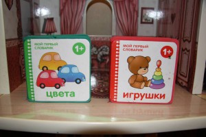 Обмен продолжение 2 - IMG_9948.JPG