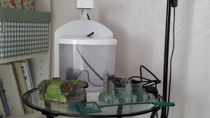 ОТДАН - 20150708_083036.jpg