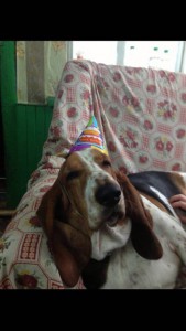 отдам даром - wRDkaOGkNh4.jpg