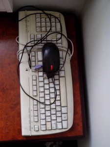 Отдам даром - IMG_20150803_154941.jpg