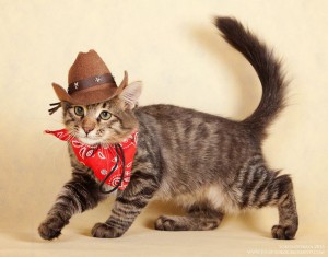 Нафанька ищет маму-папу  - 1.jpg