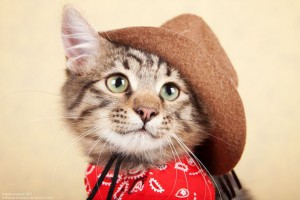 Нафанька ищет маму-папу  - 2.jpg