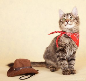 Нафанька ищет маму-папу  - 3.jpg