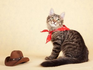 Нафанька ищет маму-папу  - 5.jpg