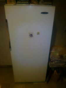 Отдам даром исправный холодильник ЗИЛ - 2015-08-30-1679.jpg