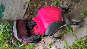 отдам прогулку за памперсы - WP_20150907_14_12_12_Pro.jpg