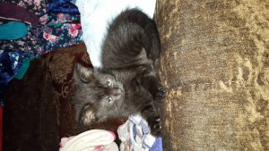 Отдан - 20150910_111915.jpg