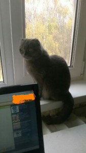 Вот наша красотка!