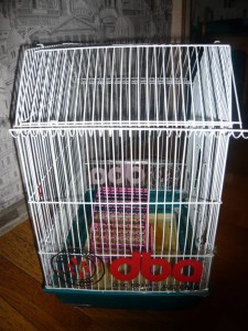 отдам клетку - авито 004.JPG