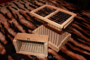 Отдам переноску, volcano, кейсы для CD, радиоприемник - IMG_6544.JPG