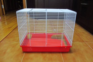 Отдам даром клетку крысами погрызену еще несколько мелочей. Солнцево - IMG_6991.JPG