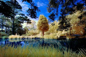 Приму в дар флейту и синтезатор - 07_08_2015-18_59_37.jpg