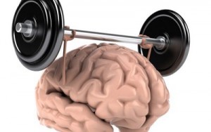 ПРИМУ В ДАР СИСТЕМНЫЙ БЛОК - mozgovoe-krovoobrashchenie.jpg