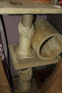 Отдам когтеточку для кошек - ОТДАЛИ - IMG_8273.JPG