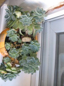 Цветы - Вещи 015.jpg