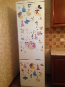 Отдам рабочий двухкамерный холодильник Ardo - IMG_0380.JPG