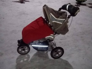 Обмен на памперсы большую коробку хагисы 12-22 кг - DSC_0260.JPG