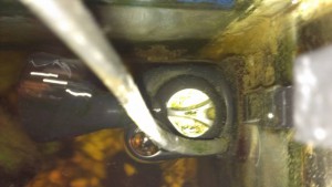 сомик за фильтром