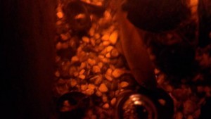 два речных карася и сомик просят помочь - IMAG0065.jpg