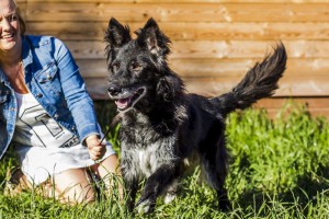 Москва и МО Летти ищем дом  - 2.jpeg