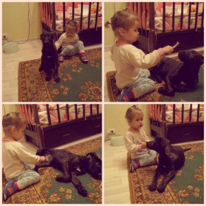 Голландец - яникнепротив.jpg