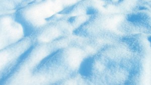 отдам снег даром - снег7772.jpg