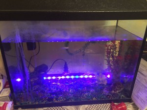 Меняю аквариум - image.jpg