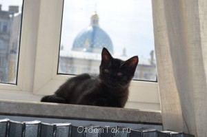 Британцы даром - DSC_0158.JPG