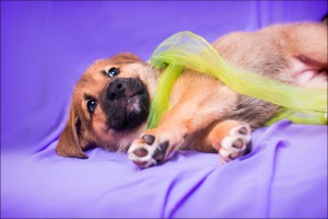 Москва и МО Очаровательная девочка Фрида ждёт своих самых лучших маму и папу  - 4.jpg