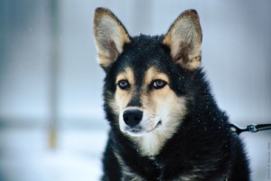 Москва и МО Потрясающей красоты девченка ищет свою маму и папу - 1.jpg