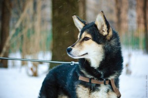 Москва и МО Потрясающей красоты девченка ищет свою маму и папу - 3.jpg