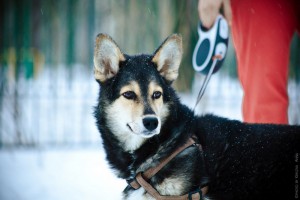 Москва и МО Потрясающей красоты девченка ищет свою маму и папу - 4.jpg