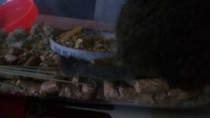 Для грызунов приму в дар - 20160211_103337.jpg