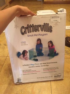 Полный боекомплект для маленького животного  - image.jpeg