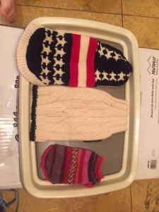 Полный боекомплект для маленького животного  - image.jpeg