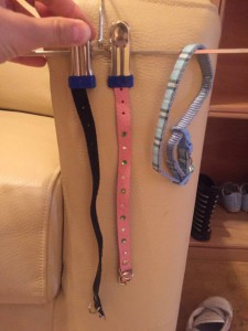 Полный боекомплект для маленького животного  - image.jpeg