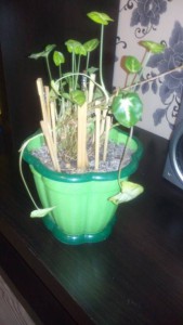 Отдам даром - bMaKXWMMNMc.jpg