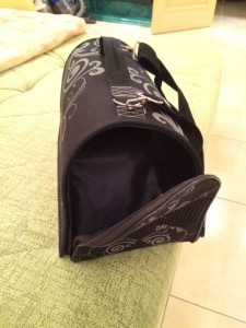 Сумка-переноска для кошки или маленькой собачки - IMG_2868.JPG