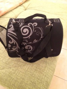 Сумка-переноска для кошки или маленькой собачки - IMG_2870.JPG