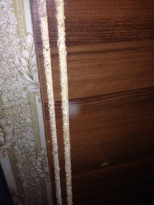 Трёхстворчатый шкаф купе ОТДАНО  - image.jpeg