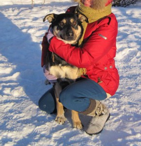 МУШКА-ЧУДОМ СПАСЕНА ОТ ОТСТРЕЛА-ЗАМЕЧАТЕЛЬНАЯ ДОМАШНЯЯ СОБАКА В добрые руки,на счастье  - mFRoSBRqSs.jpg